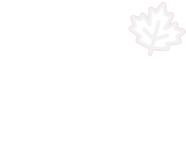 WPO Logo New no background dw edit e1678628560700 | Peel & Stick Wallpaper Online | Proudly Made in Canada