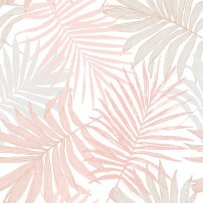 Gradient pink fir leaves on white background wallpaper and wall murals shop in South Africa. Wallpaper and wall mural online store with a huge range for sale.