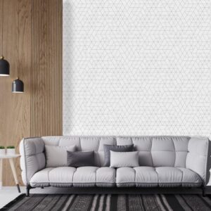 Pythagorus wallpaper and wall murals shop in South Africa. Wallpaper and wall mural online store with a huge range for sale.