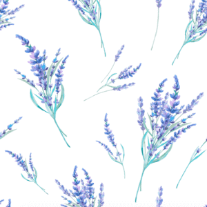 Rosemary Wallpaper - Delicate watercolor lavender sprigs dance across a pristine white canvas, bringing serene botanical