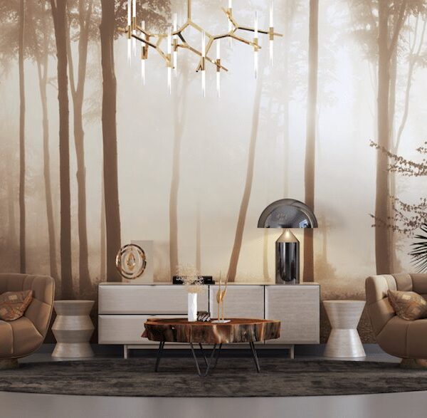 Tall trees and a golden sunset wallpaper and wall murals shop in South Africa. Wallpaper and wall mural online store with a huge range for sale.