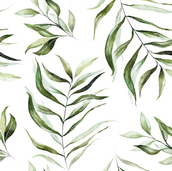 Ghost Vines wallpaper and murals for sale in South Africa. Wallpaper and wall mural online store with a huge range for sale.