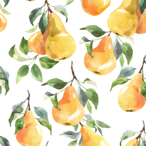 Bright pear and sprigs wallpaper and wall murals shop in South Africa. Wallpaper and wall mural online store with a huge range for sale. 