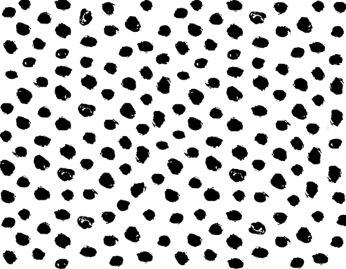 Black and white animal spot pattern wallpaper and wall murals shop in South Africa. Wallpaper and wall mural online store with a huge range for sale.