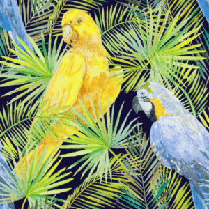 Yellow blue parrot wallpaper and wall murals shop in South Africa. Wallpaper and wall mural online store with a huge range for sale.