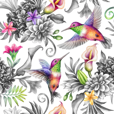 Bright hummingbirds and mono plants  wallpaper and wall murals shop in South Africa. Wallpaper and wall mural online store with a huge range for sale.