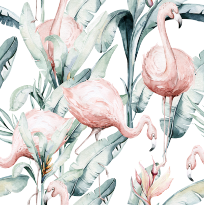 Flamingos with leaves wallpaper and wall murals shop in South Africa. Wallpaper and wall mural online store with a huge range for sale.