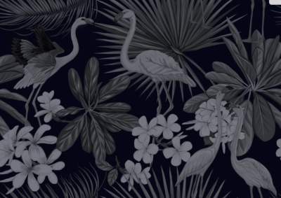 Dark grey stork wallpaper and wall murals shop in South Africa. Wallpaper and wall mural online store with a huge range for sale.