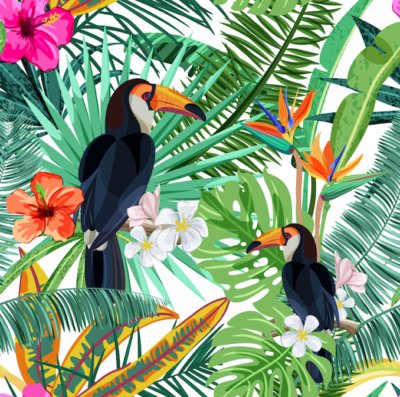 Toucan wallpaper and wall murals shop in South Africa. Wallpaper and wall mural online store with a huge range for sale.