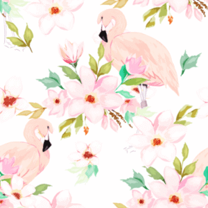Soft flamingo wallpaper and wall murals shop in South Africa. Wallpaper and wall mural online store with a huge range for sale.