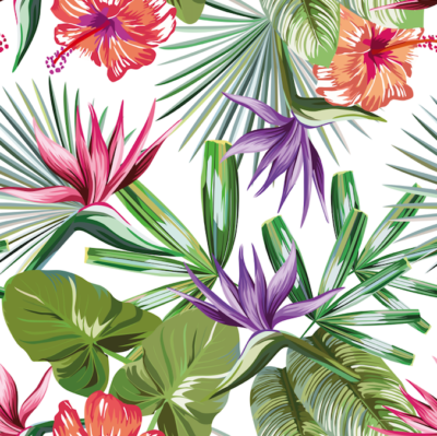 Colourful flowers and green leaves on white background wallpaper and wall murals shop in South Africa. Wallpaper and wall mural online store with a huge range for sale.