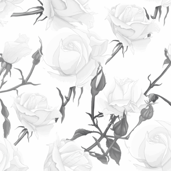 Snow White wallpaper and murals for sale in South Africa. Wallpaper and wall mural online store with a huge range for sale.