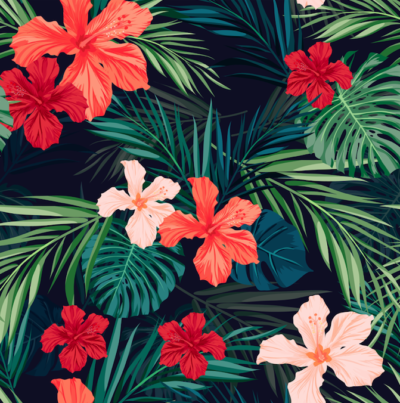 Hibiscus dark wallpaper and wall murals shop in South Africa. Wallpaper and wall mural online store with a huge range for sale.