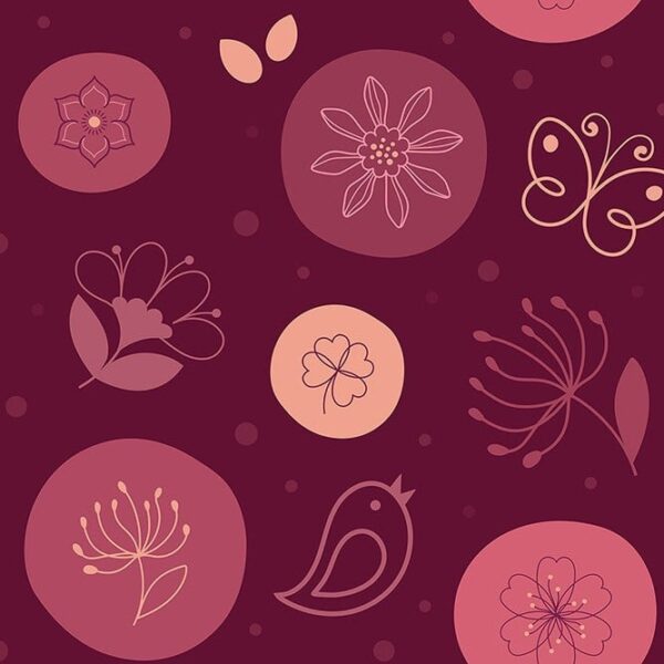 Periquito Marrón Wallpaper