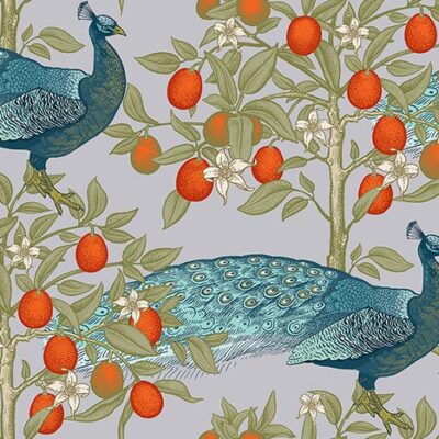 Peafowl East Wallpaper