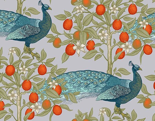 Peafowl East Wallpaper