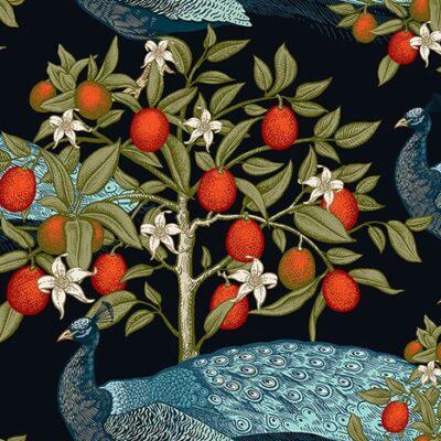 Peafowl West Wallpaper