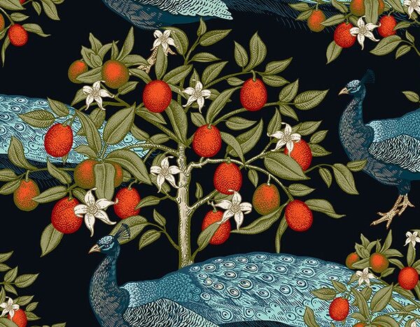 Peafowl West Wallpaper