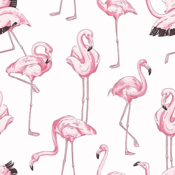 Fabulous Flamingos Wallpaper