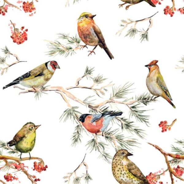 Feathered Friends Light Wallpaper - Bring nature's beauty indoors with this charming watercolor design featuring delicate