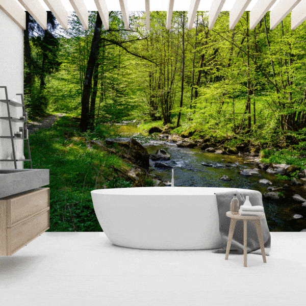 Nature wallpaper and wall murals for sale in South Africa. Wallpaper and wall mural online store with a huge range for sale.