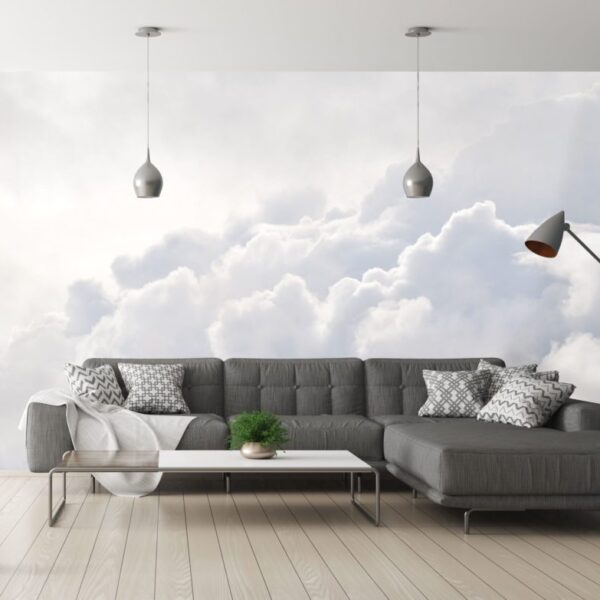 Mural Dreams wallpaper and wall murals for sale in South Africa. Wallpaper and wall mural online store with a huge range for sale.