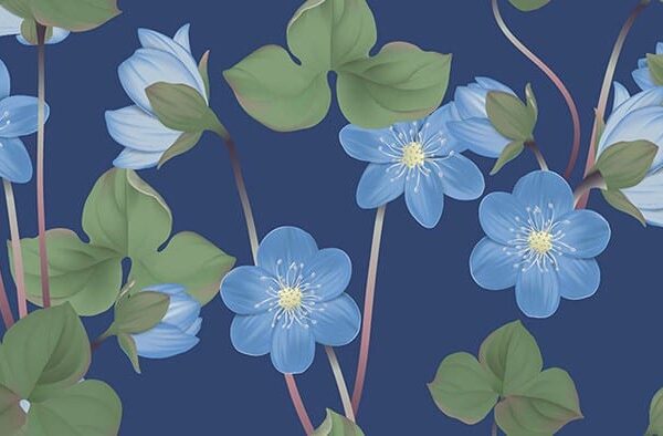 Summer Evening Wallpaper