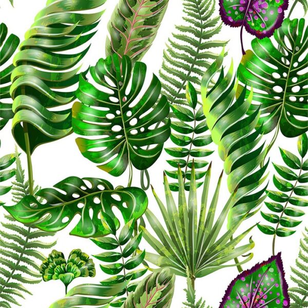 Tantalize Tropical Leaves Wallpapers