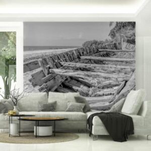 Mural Travel in time