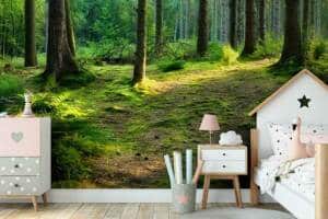 Mural Forest Floor wallpaper and wall murals shop in Canada. Wallpaper and wall mural online store with a huge range for sale.