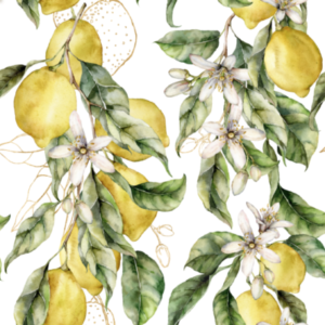 EL Lemons Vine Wallpaper - This stunning botanical wallpaper features hand-painted lemon branches with delicate blossoms and