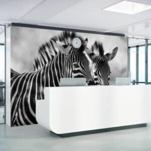 Mural United Stripes - This striking black and white zebra mural captures the majestic beauty of nature with bold, dynamic