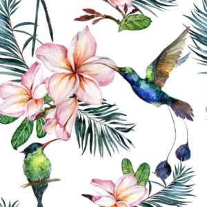 Soft Hume Wallpaper - This exquisite wallpaper brings the vibrant beauty of tropical gardens and hummingbirds directly into