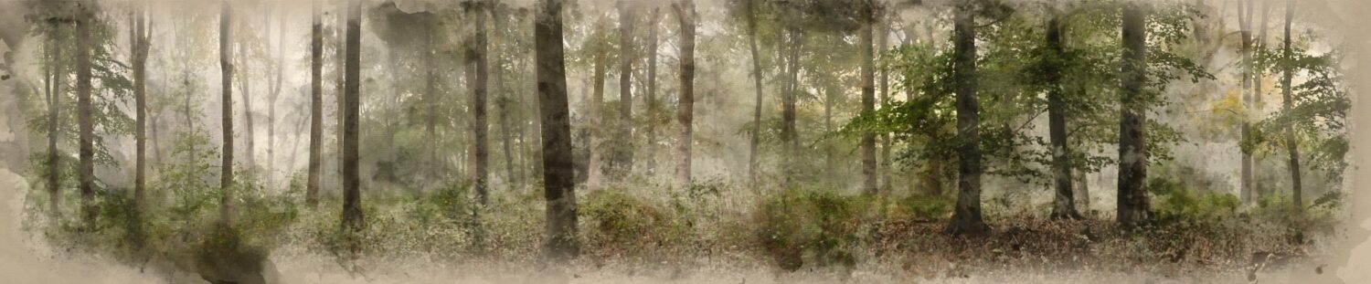 Mural Ethereal Forest - Image 2