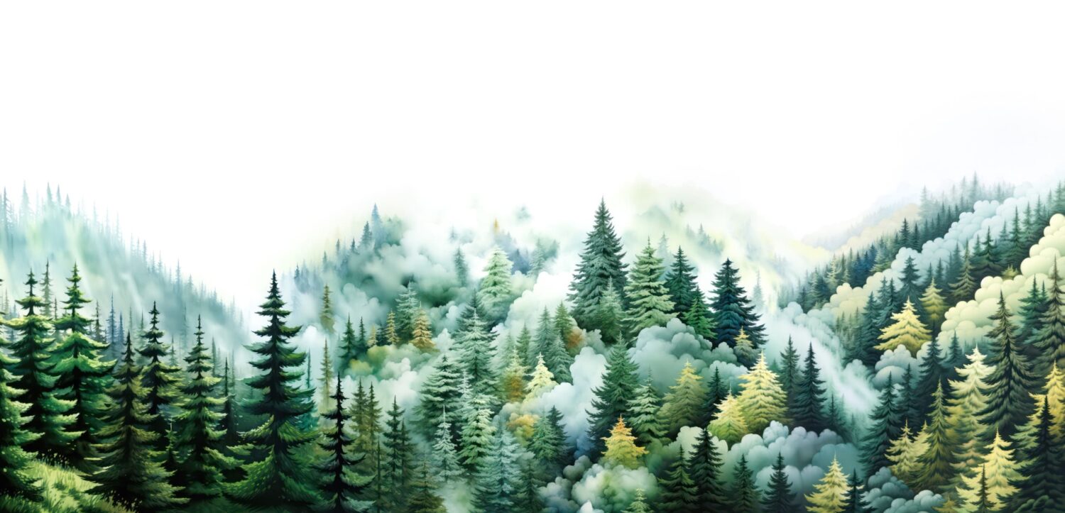 Mural Misty Forest Serenity - Image 2