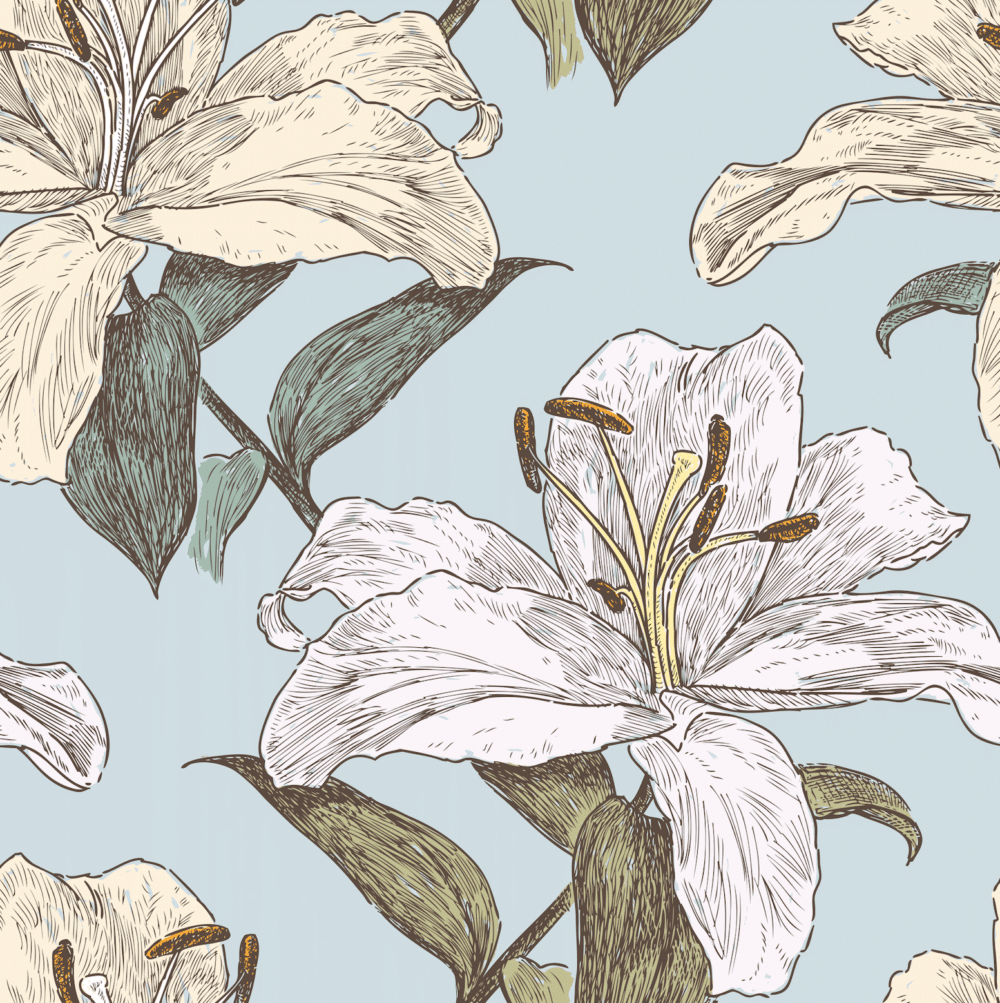 Peel and stick wallpaper of a cottage core style sketched hibiscus in white, cream light blue and green.