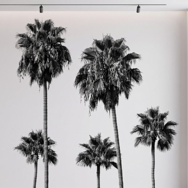 A zoomed-in of black and white palm trees with slender trunks and textured fronds creating a modern tropical mural design.