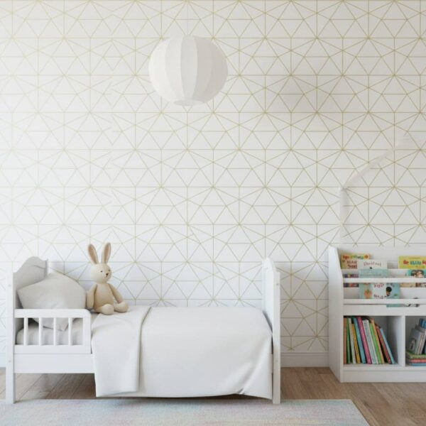 Fermat Wallpaper wallpaper in a Children's Room room