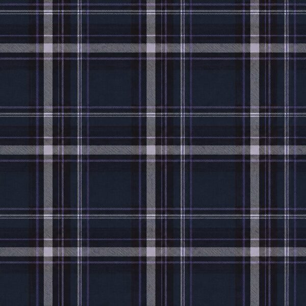 Autumn Plaid in Blue