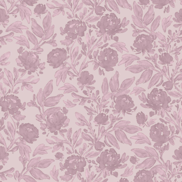 Charlottes Climbing Rose in Blush