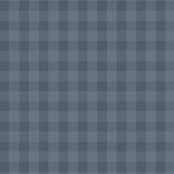 Gingham in Navy