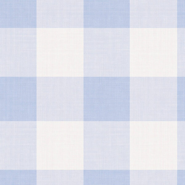 Large Gingham in Blue