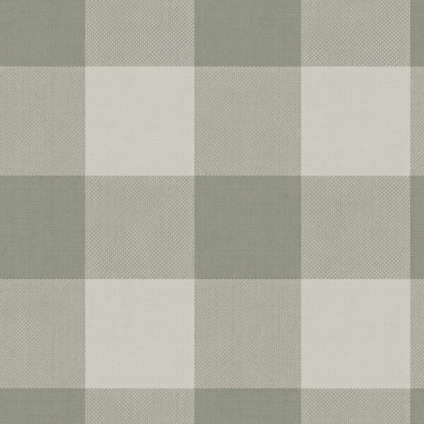 Large Gingham in Sage Green