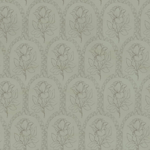 Rose Lineage - Line Art in Sage Green