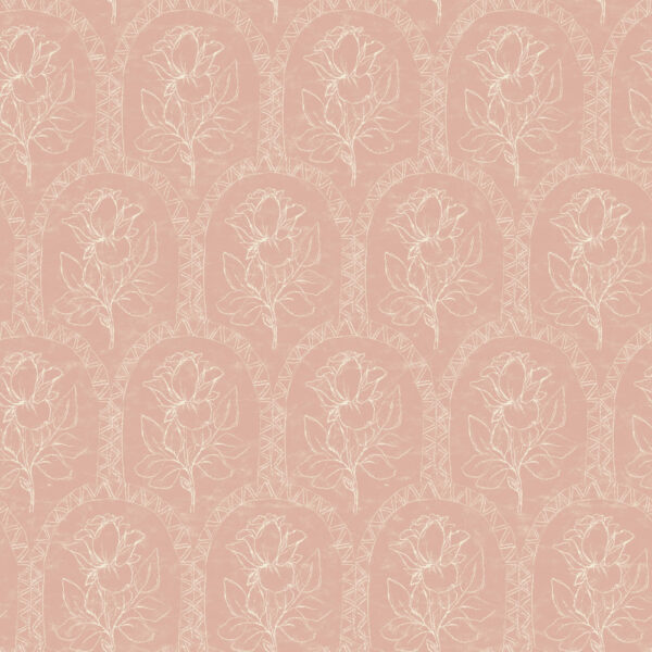 Rose Lineage - Line Art in Salmon