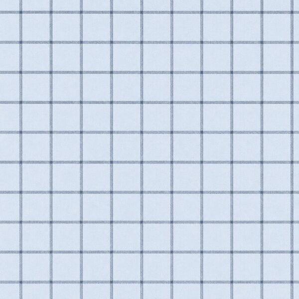 Sunday Checkers in Blue Denim