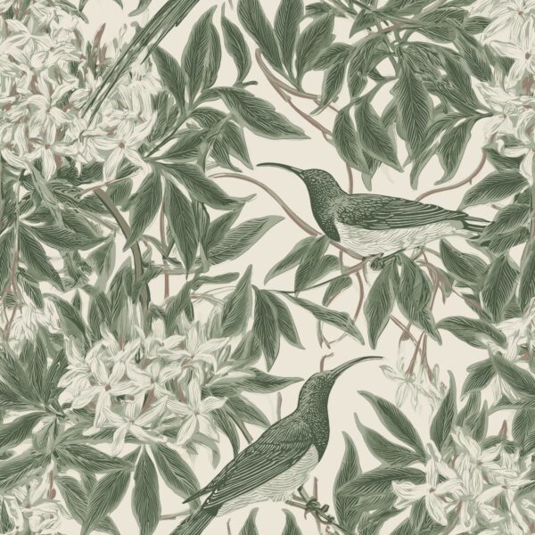 Sunbird Bower Tonal, sunbirds and botanicals in sage green, cream, white and rust wallpaper - Wallpaper Online Canada