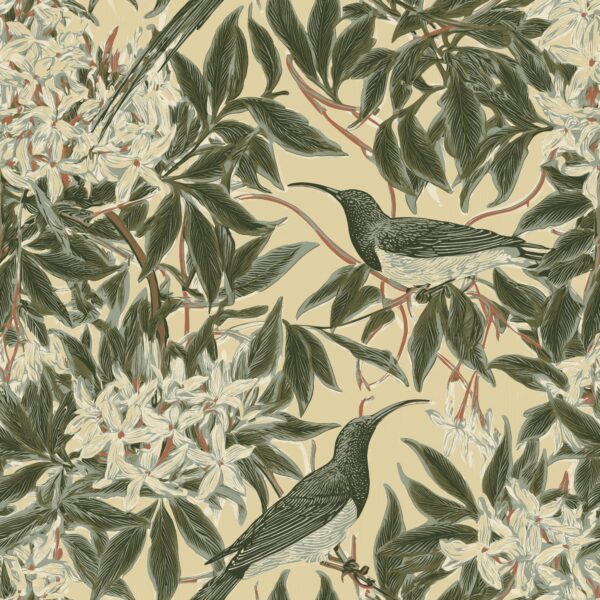 Sunbird Bower Butter, sunbirds and foliage in butter yellow, olive green and charcoal wallpaper - Wallpaper Online Canada