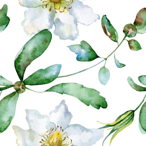 Guaria Watercolour Wallpaper
