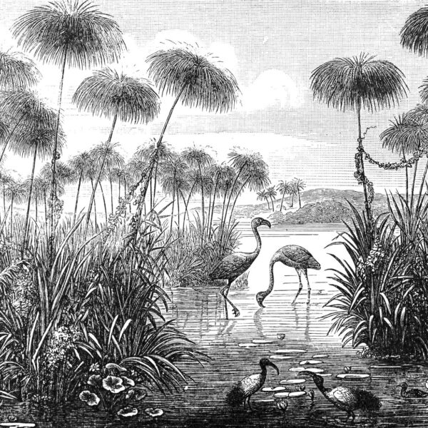 Mural Flamingo Ensemble Sketch